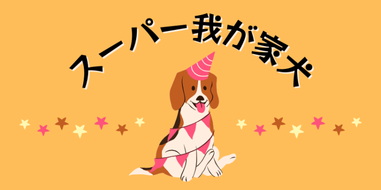 カワイイがいっぱい！ワンダーランド